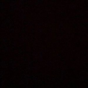 Meet your Posher, Randy